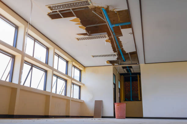  Lake San Marcos, CA Water damage restoration Pros