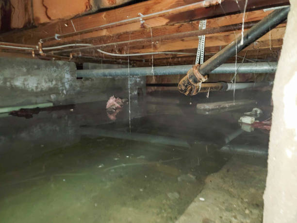 Best Fire Damage Restoration  in Lake San Marcos, CA