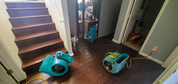 Best Flood damage cleanup  in Lake San Marcos, CA