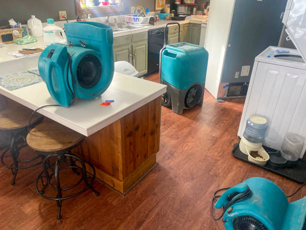 Best Basement water damage restoration  in Lake San Marcos, CA