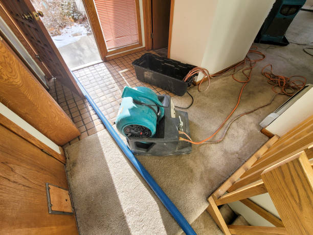 Best 24-hour water damage restoration  in Lake San Marcos, CA