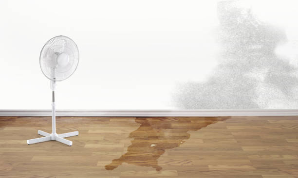 Best Residential water damage restoration  in Lake San Marcos, CA