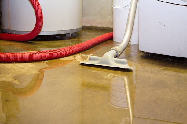 Best Flooded house restoration  in Lake San Marcos, CA