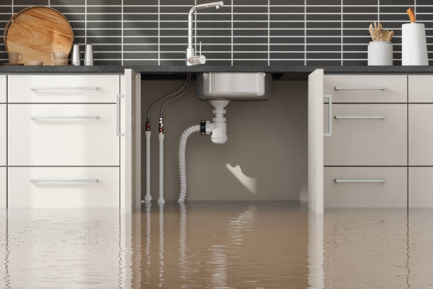 Best Professional water damage repair  in Lake San Marcos, CA
