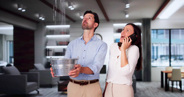 Best Water damage restoration mold remediation  in Lake San Marcos, CA