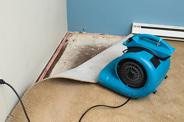 Best Sewage cleanup and water damage restoration  in Lake San Marcos, CA